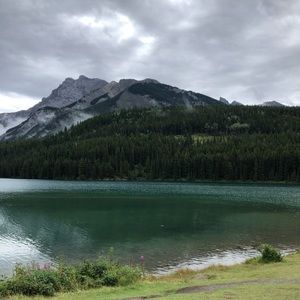 Meet your Posher, Alysha